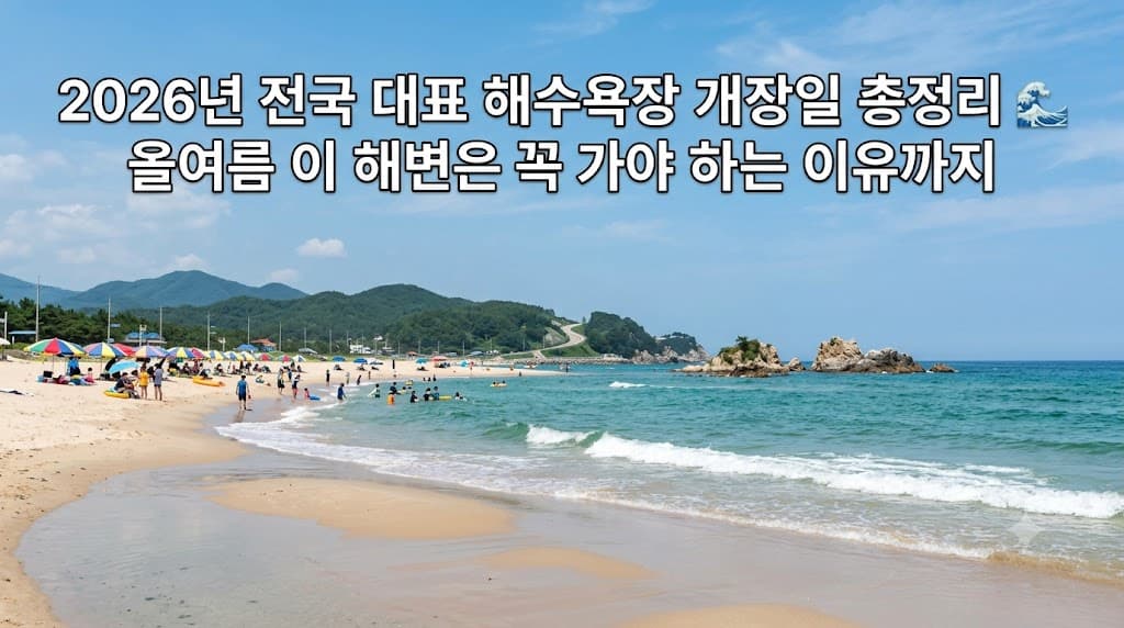 해수욕장