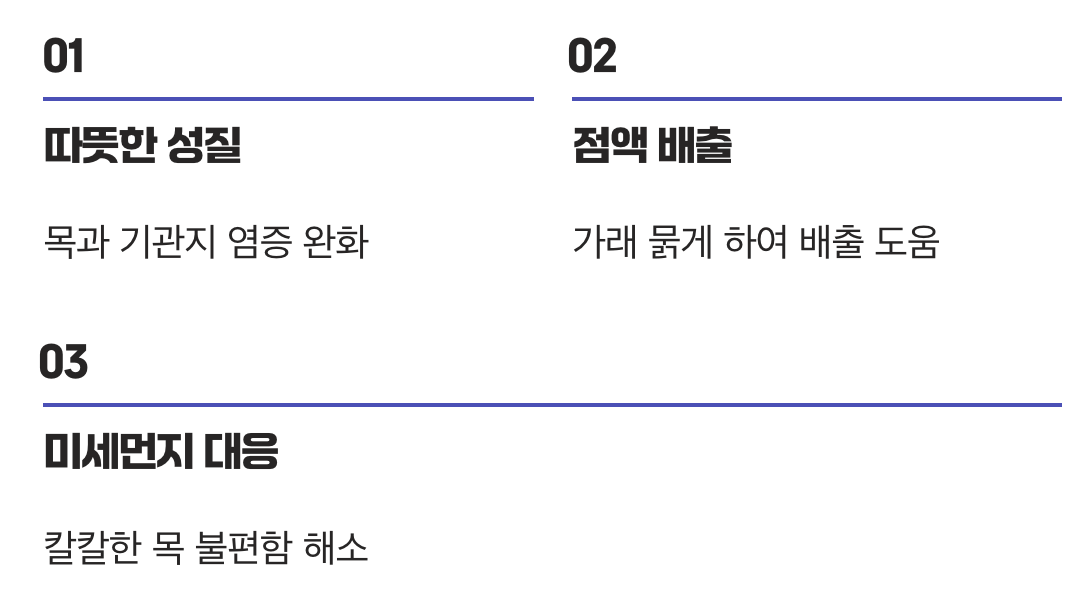 기침과 가래를 잠재우는 지혜