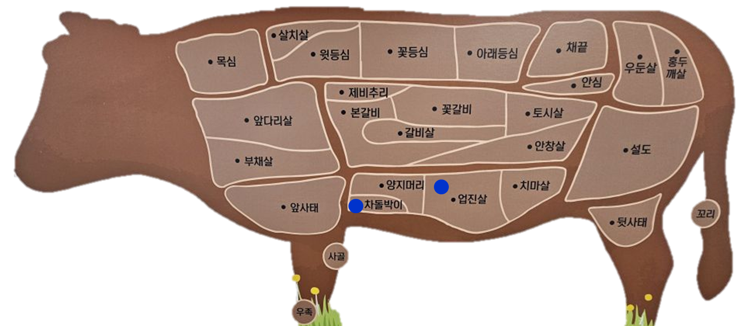 차돌과 양지 쪽