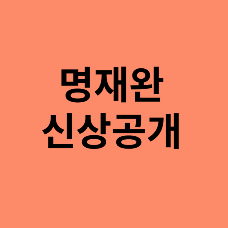 명재완 신상 공개, 하늘이 사건