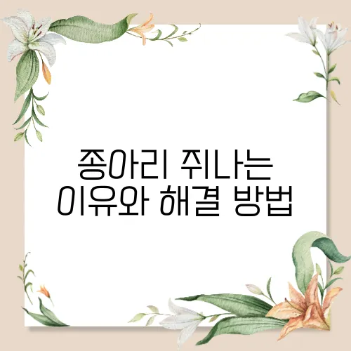 종아리 쥐나는 이유와 해결 방법