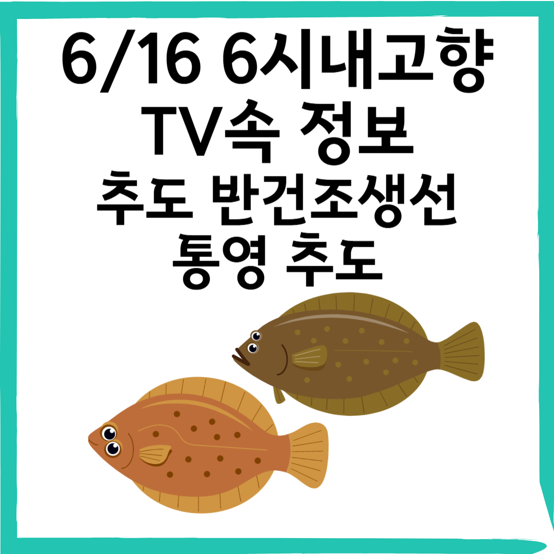 6/16 6시내고향 윤성호추도물메기 반건조 생선 택배 &amp; 숙박 정보