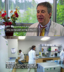 면역력 영양제