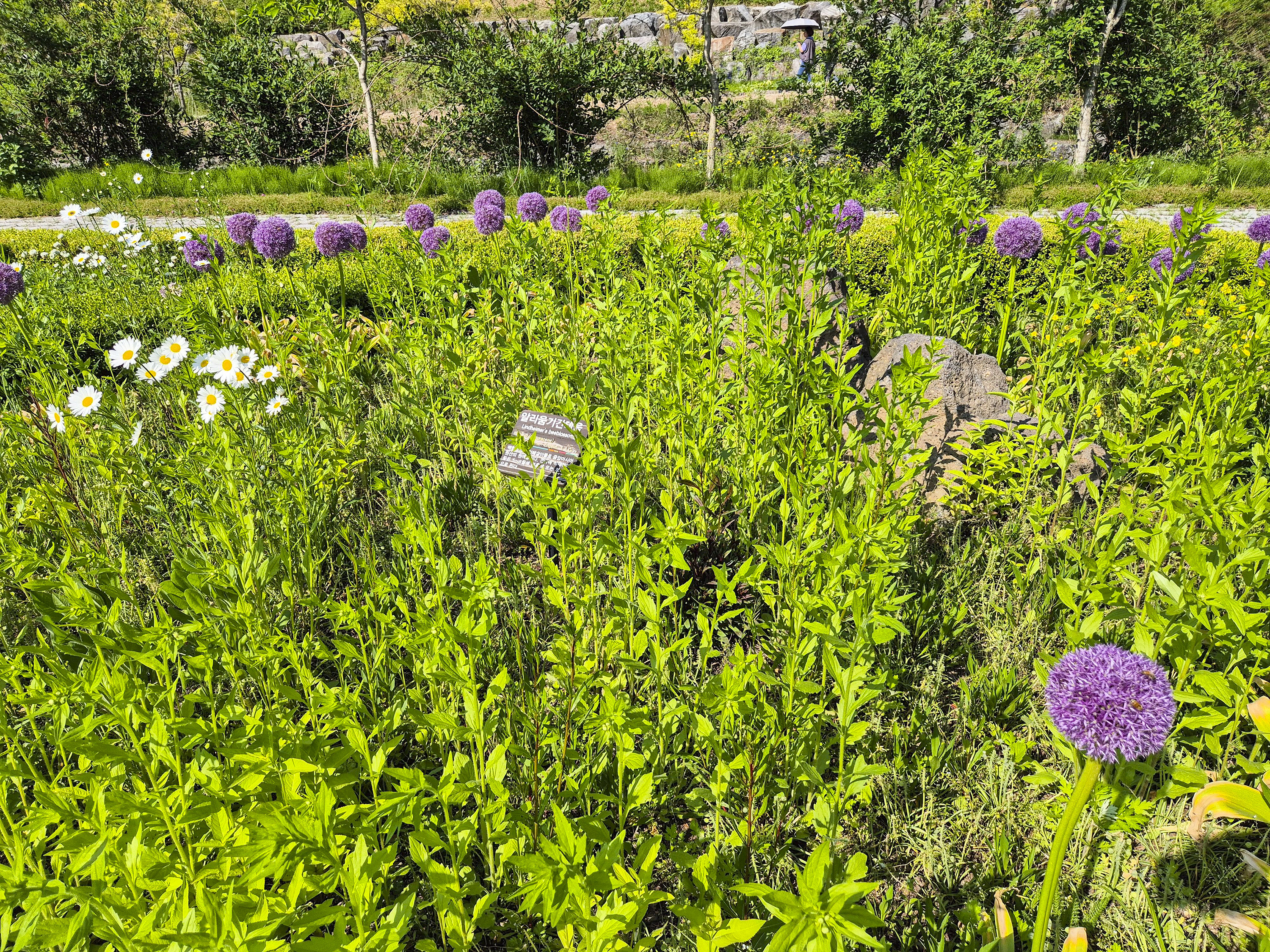 율곡수목원의 예쁜 꽃