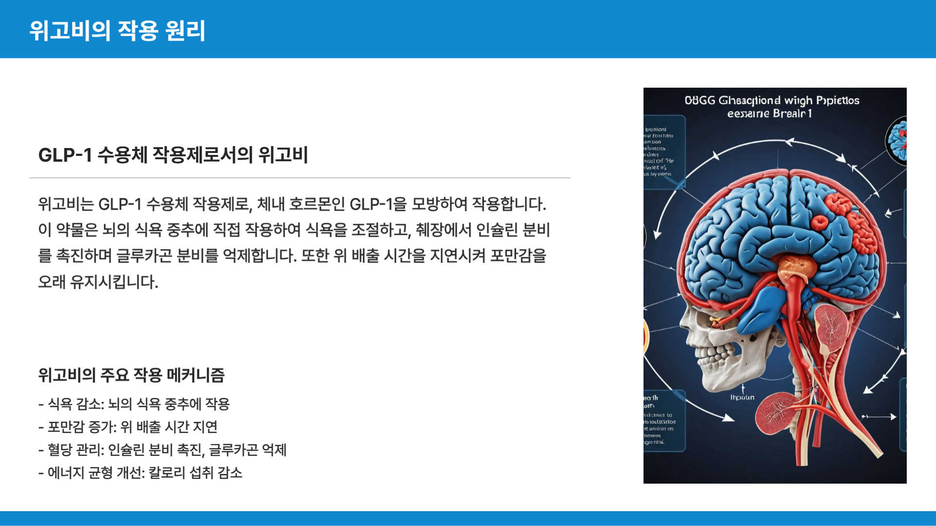 위고비 올바른 복용 방법에 대한 안내