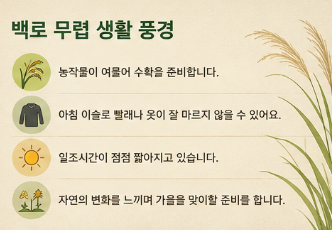 우리 생활에서는 특정 메뉴를 억지로 찾기보다 제철 과일과 곡물 등 초가을 식재료를 즐기는 방식이 백로의 의미와 더 잘 어울립니다.