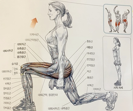런지 자세 사진