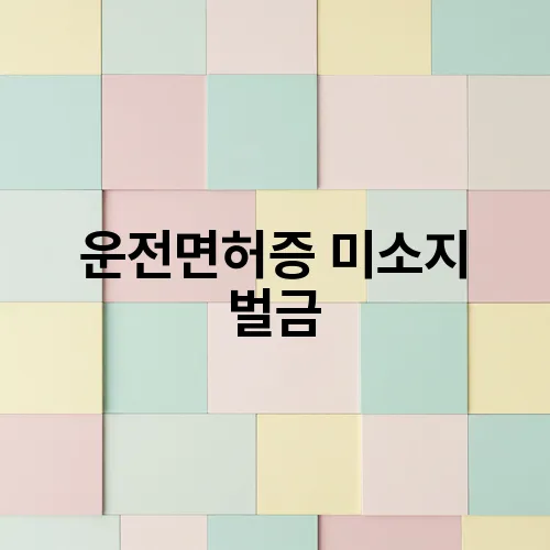 운전면허증 미소지 벌금