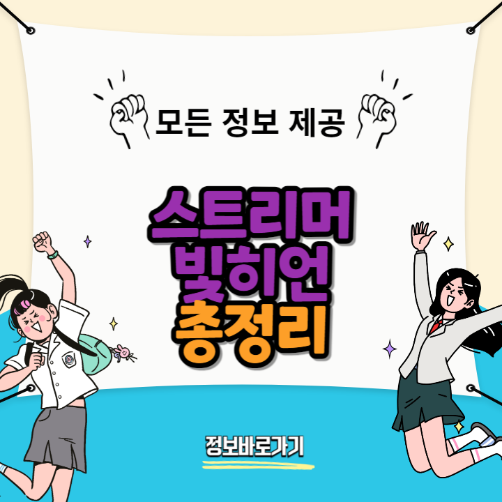 스트리머-빛히언