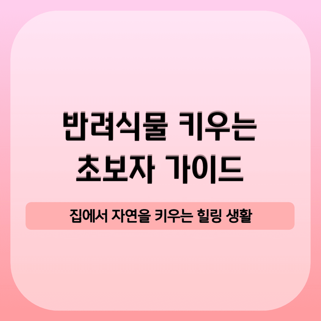 집에서 반려식물 키우는 초보자 가이드