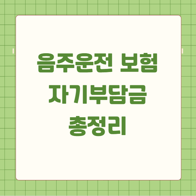 음주운전 보험 자기부담금