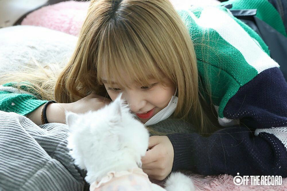 아이즈원 최예나 귀여운 매력어필 아이즈원 최예나 귀여운 매력어필