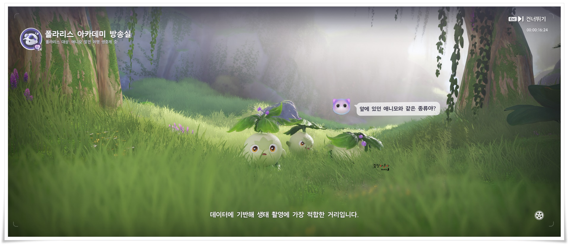 애니모 귀여운 펫 캐릭터