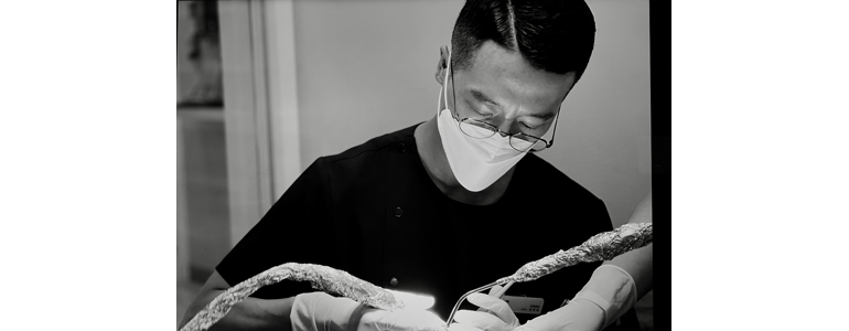 부산 영도구 교정 치과