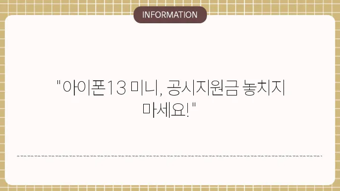 아이폰13 미니 공시지원금