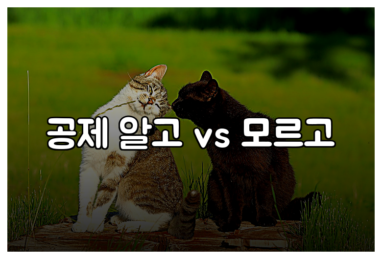 공제 알고 vs 모르고