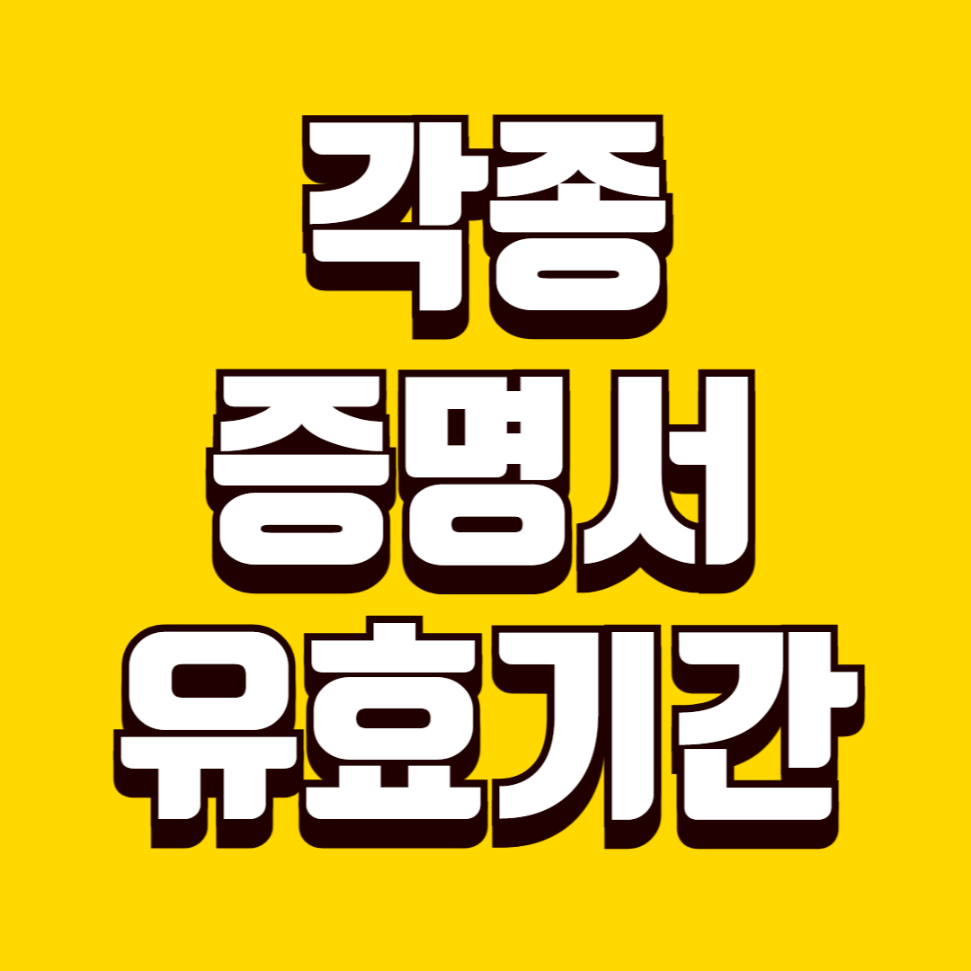 각종 증명서 유효기간 기준, 발급일 기준 언제까지 인정되는지