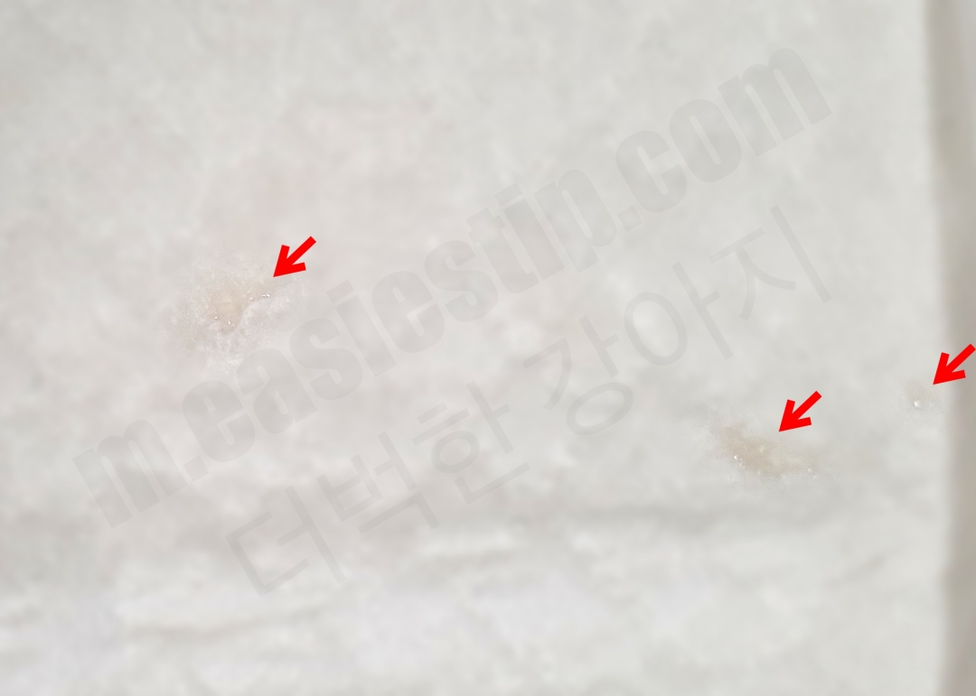 강아지 투명똥, 젤리변