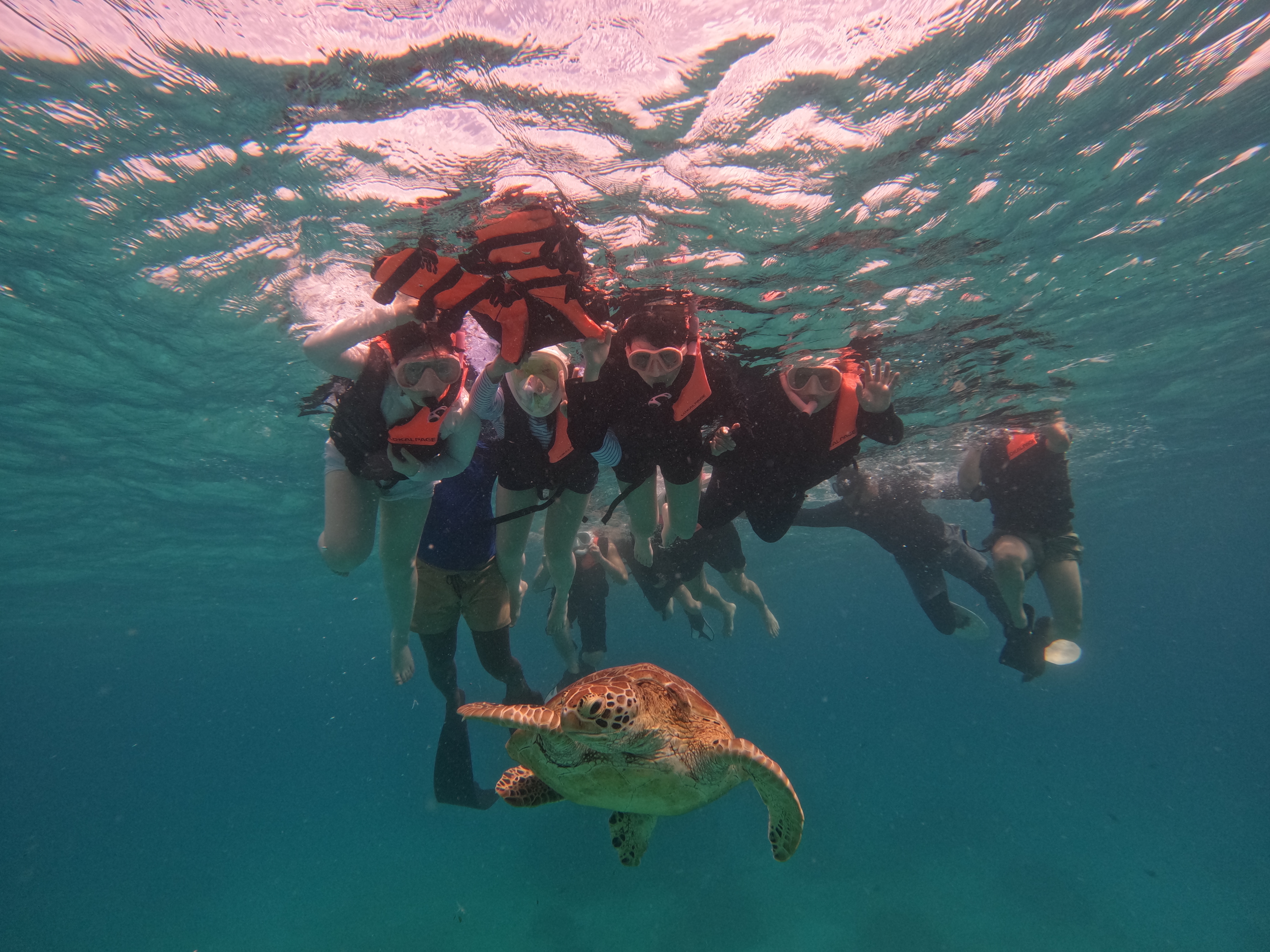 로컬페이지 발리카삭 나팔링 투어