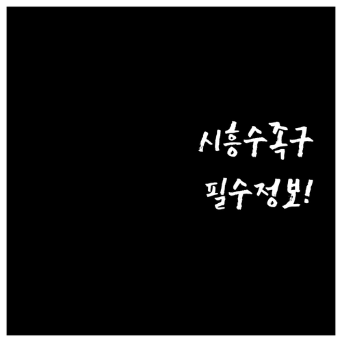 시흥시 수족구 병원 추천 및 진료 방..