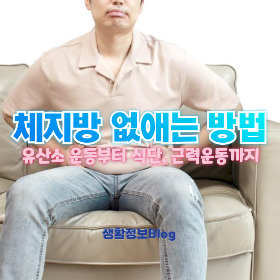 체지방 없애는 방법