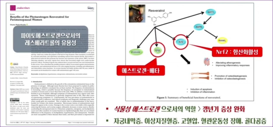 갱년기
