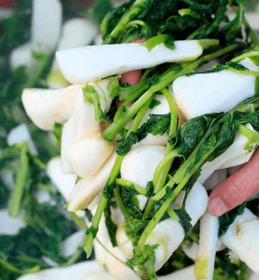 김장 알타리김치 맛있게 담그는 방법