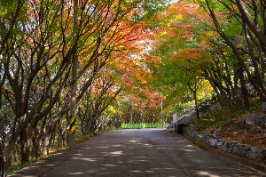 여수 가볼만한 곳 추천 관광지 여수 자산공원