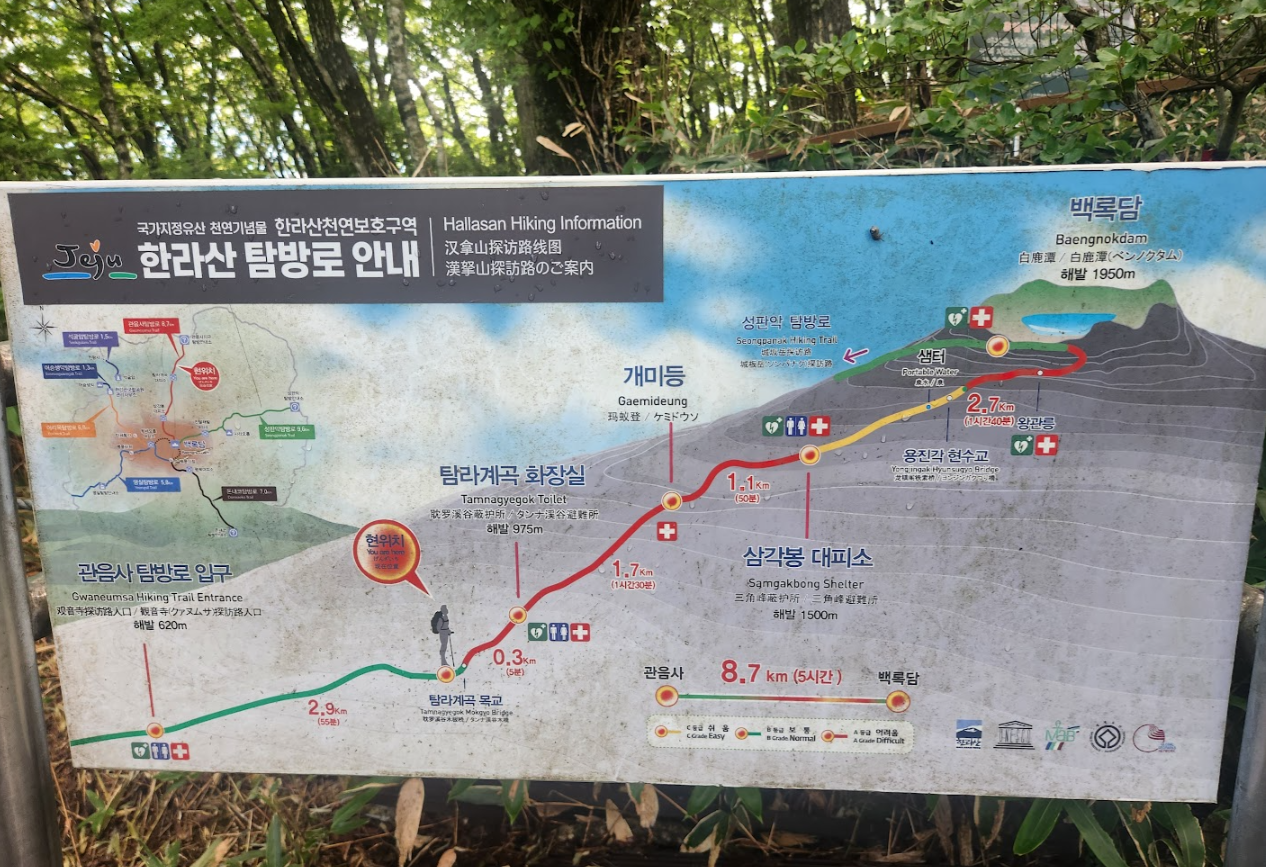 초보자 등산 준비물 완벽 체크리스트 2026 최신 가이드