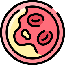 콜레스테롤 낮추는 방법 10가지