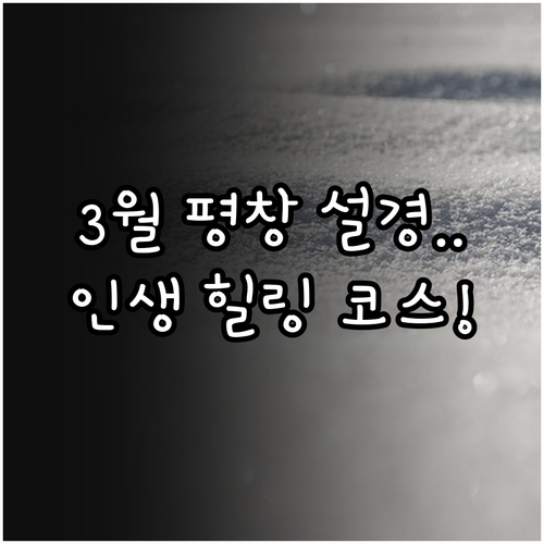 평창 3월 가볼만한곳 추천 대관령 양..