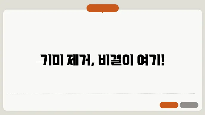 기미없애는방법효과