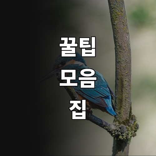 진천군 상하수도 요금 2025년 감면..