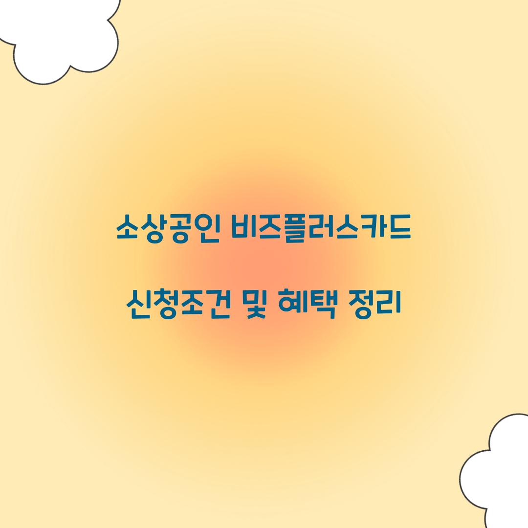 소상공인 비즈플러스카드