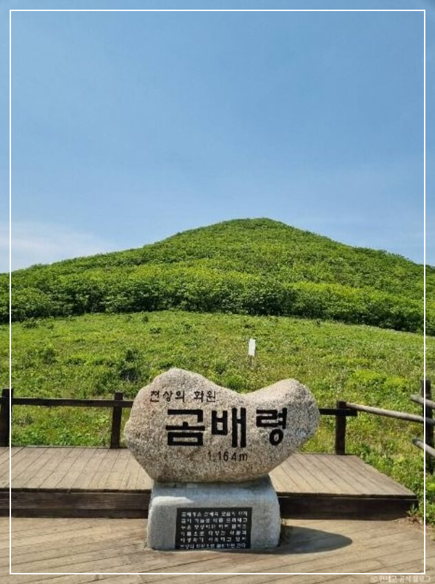 인제 가볼만한곳 베스트10 점봉산 곰배령 