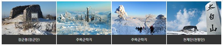 태백산 등산 3 코스