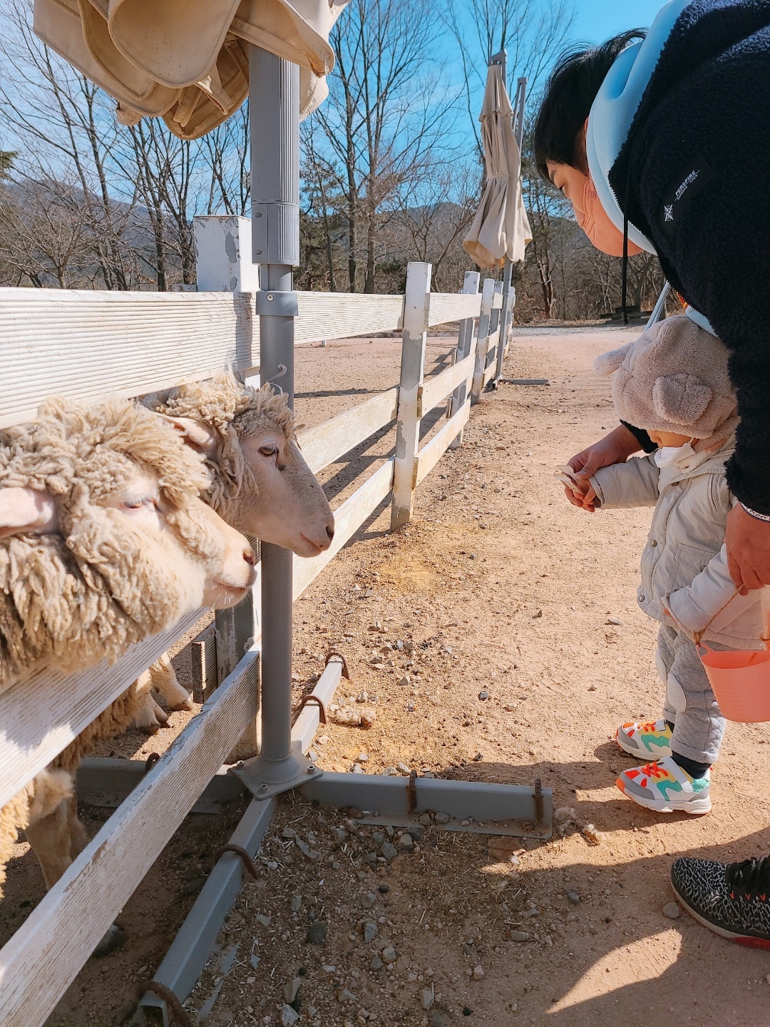 언양포니램드 사진