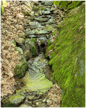 보문산