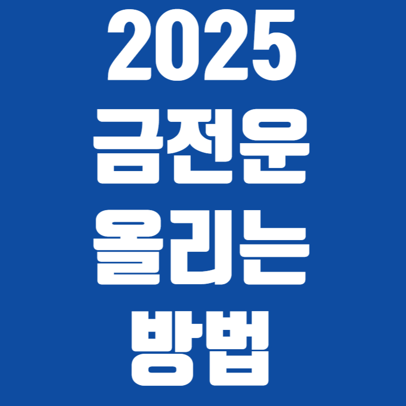2025 금전운 올리는 방법