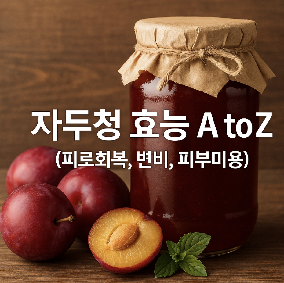 자두청 효능 A to Z (피로회복, 변비, 피부미용)