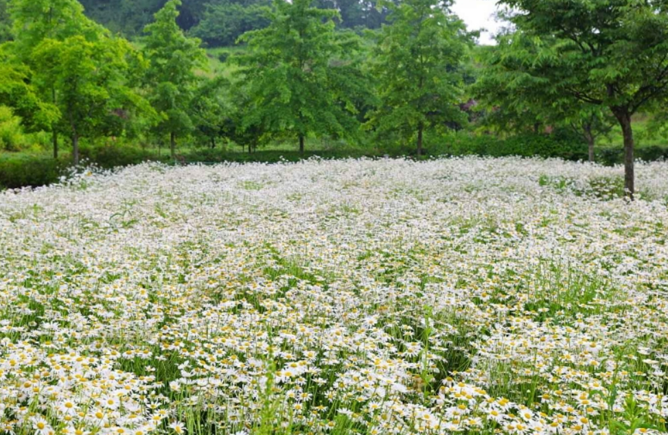 악양생태공원