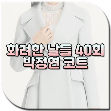 화려한 날들 40회 박정연 코트