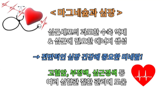 마그네슘