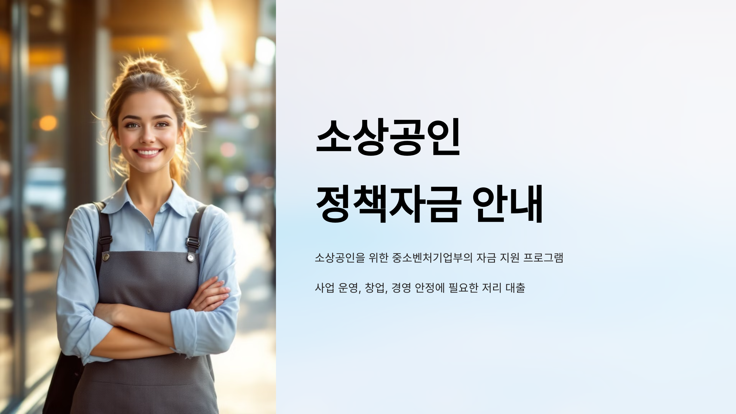 소상공인 정책자금