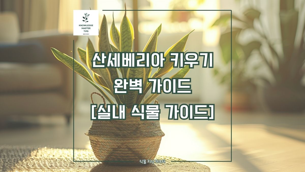 산세베리아 키우기, 완벽 가이드 [실내 식물 가이드]
