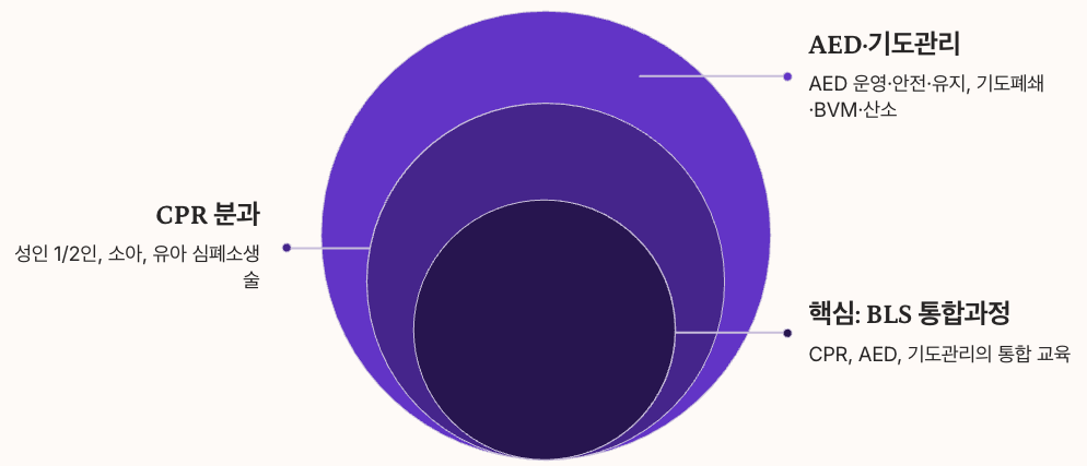 bls cpr aed 통합 과정 인포그래픽 정리 이미지
