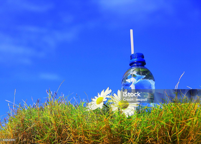 푸른하늘날 친환경용품