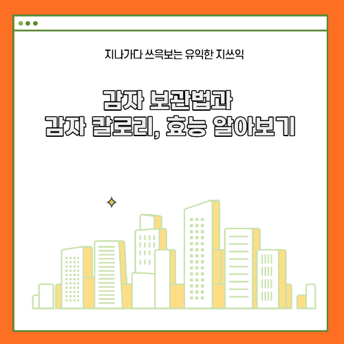 감자 보관법과 감자 칼로리, 효능 알아보기