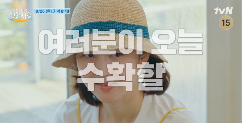 tvN 예능 언니네 산지직송 11화 염정아 스타일링 모자 제품 정보. 베이지색 모자에 청록색 띠가 포인트인 라피아 햇.