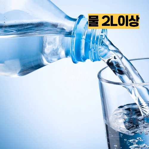 다이어트 식단